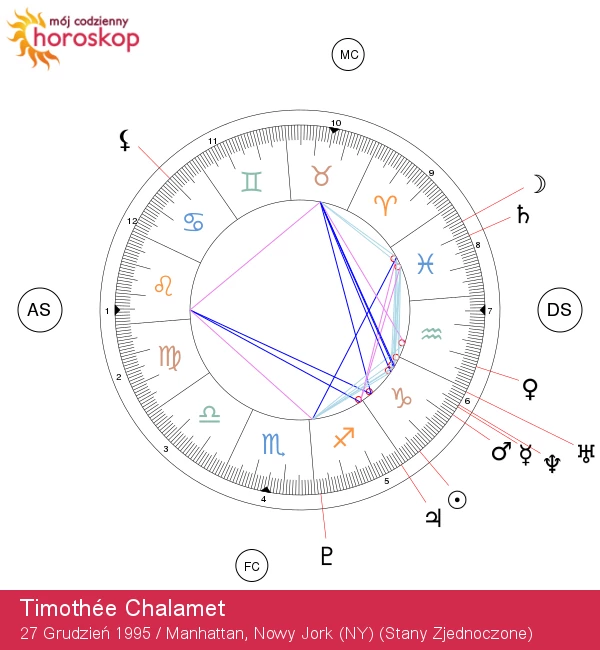 Odkryj cechy koziorożca Timothée Chalameta - Astrologiczny Wgląd